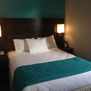 Camera accessibile ai disabili con letto queen size